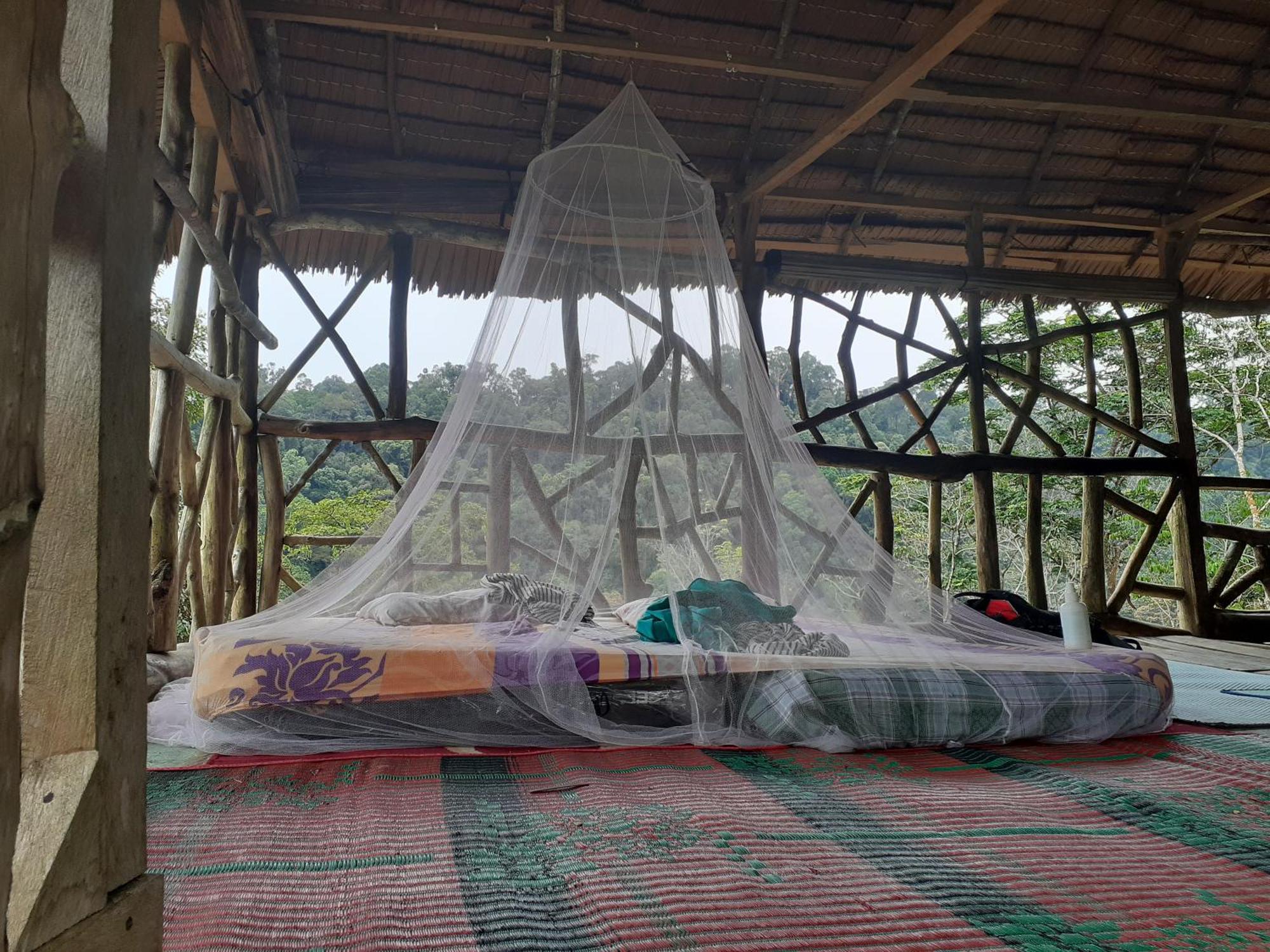 Jhony'S Backpacker-Guest House Only Stay Here Book Treking With Us Bukit Lawang Extérieur photo