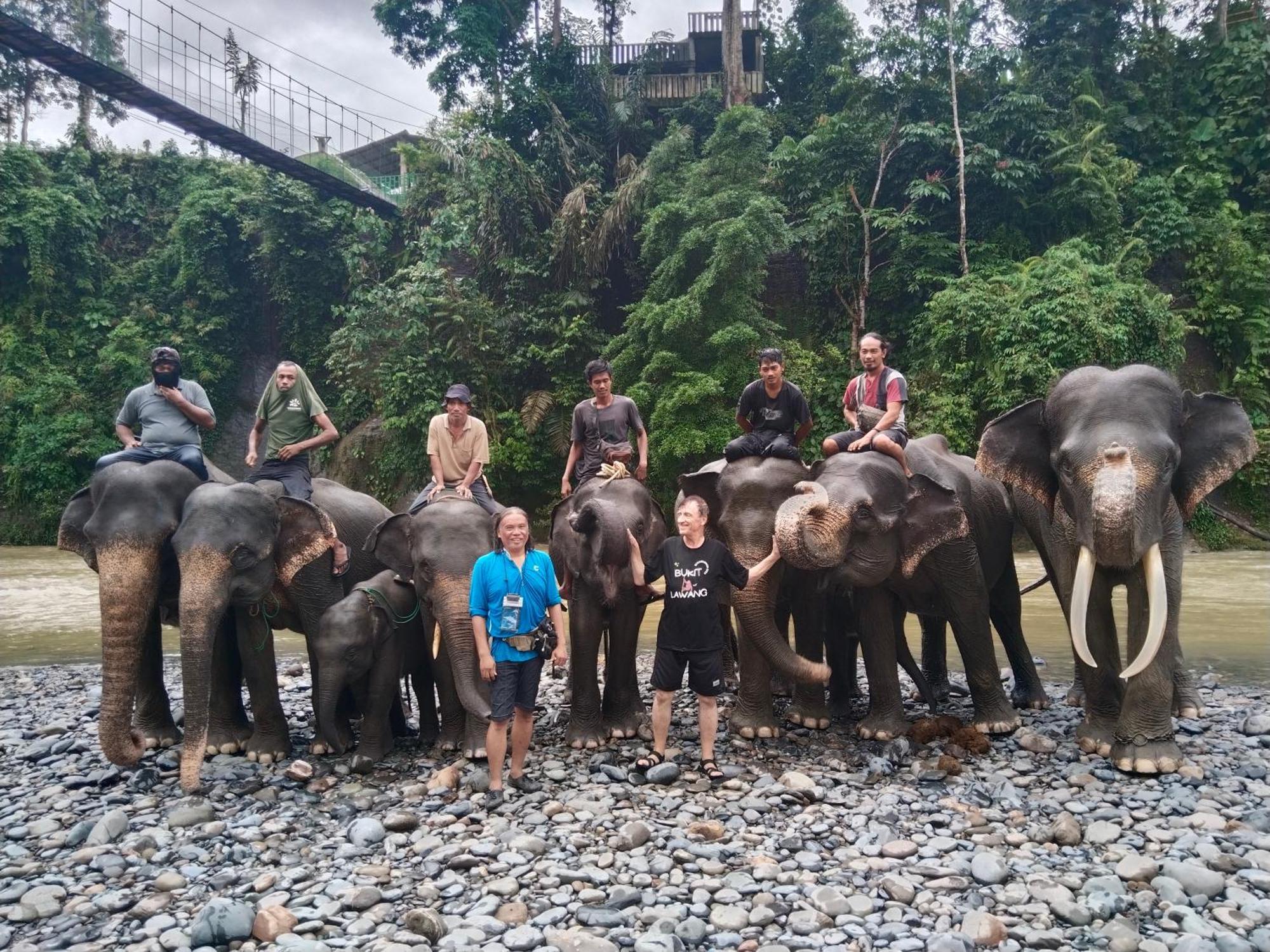 Jhony'S Backpacker-Guest House Only Stay Here Book Treking With Us Bukit Lawang Extérieur photo